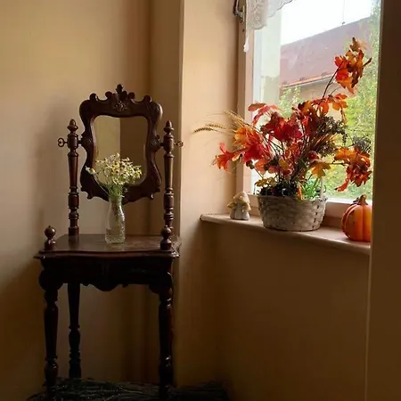 Apartmán U Barči Františkovy Lázně