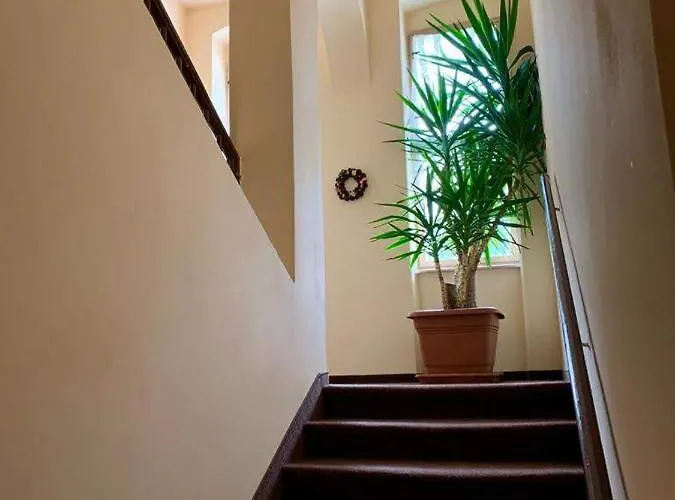 U Barči Františkovy Lázně